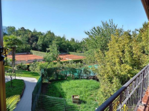 Casa Mario Tremosine